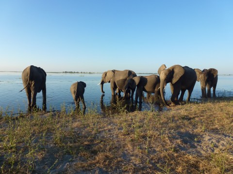 Namibia, and Botswana