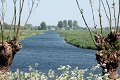 Alblasserwaard